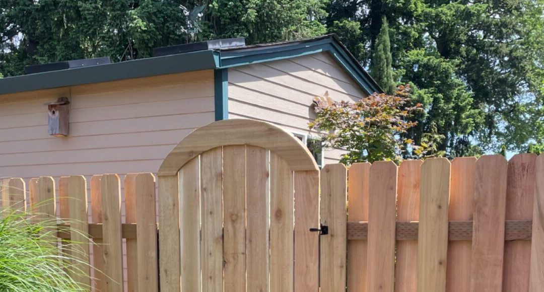 16_BEYOND-BORDERS_WORDPRESS-1920x580